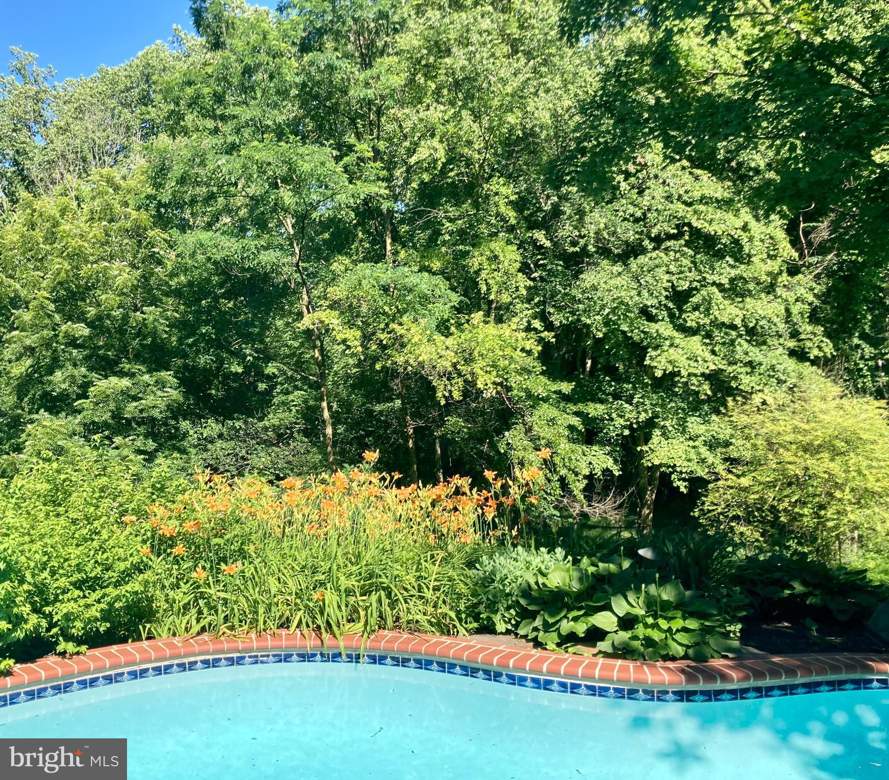 SUGAR MILL MEADOW - Residential