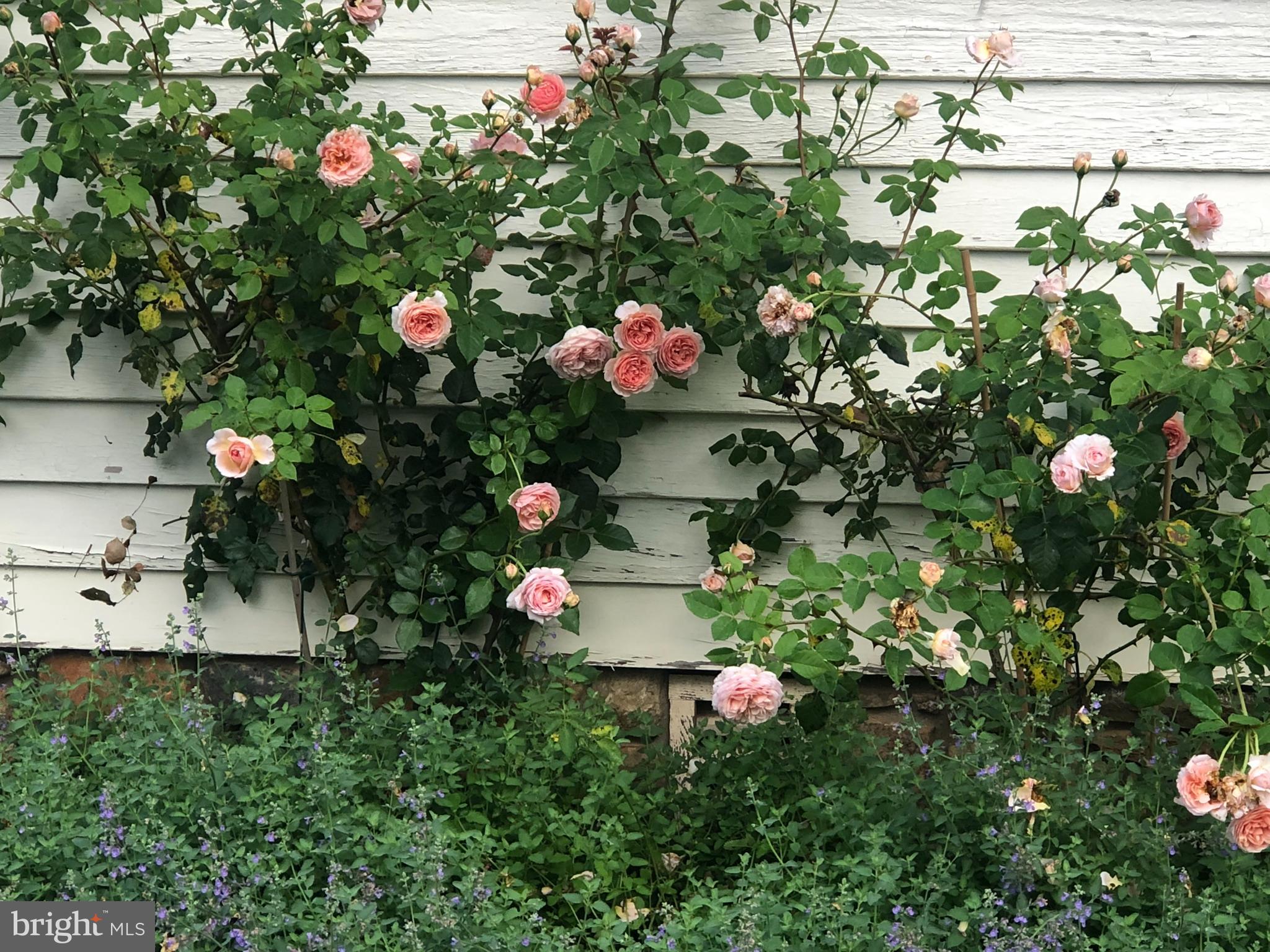 BOSTON AREA - Residential