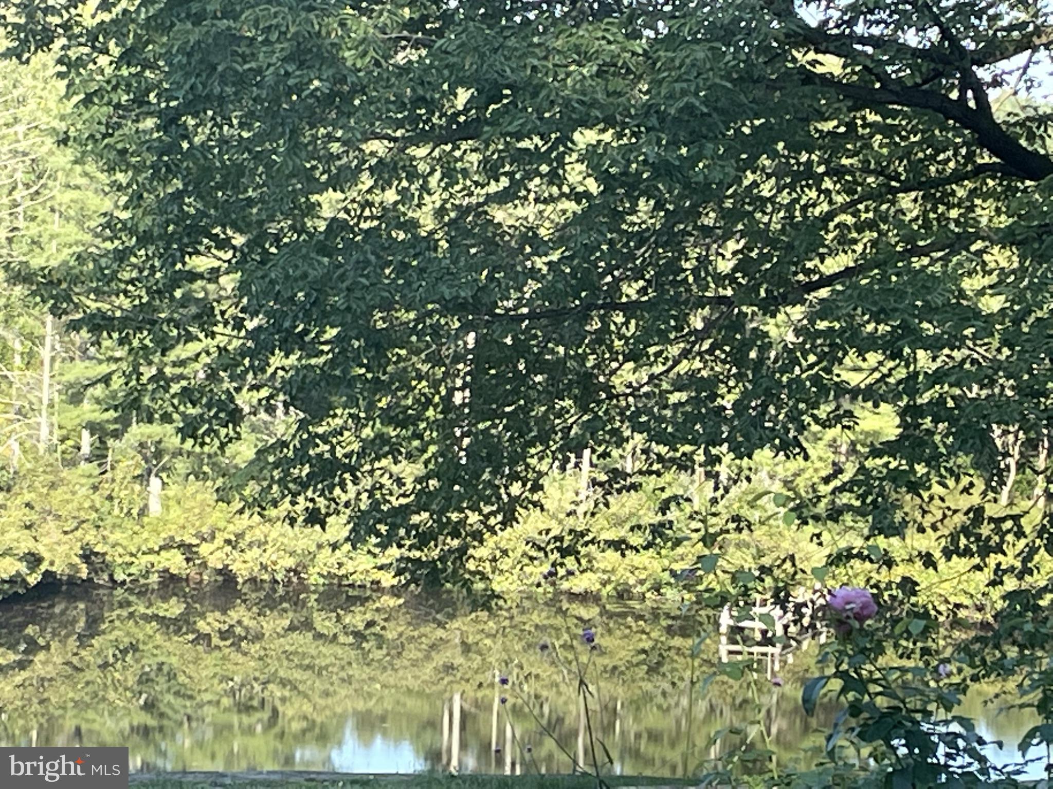 BOSTON AREA - Residential