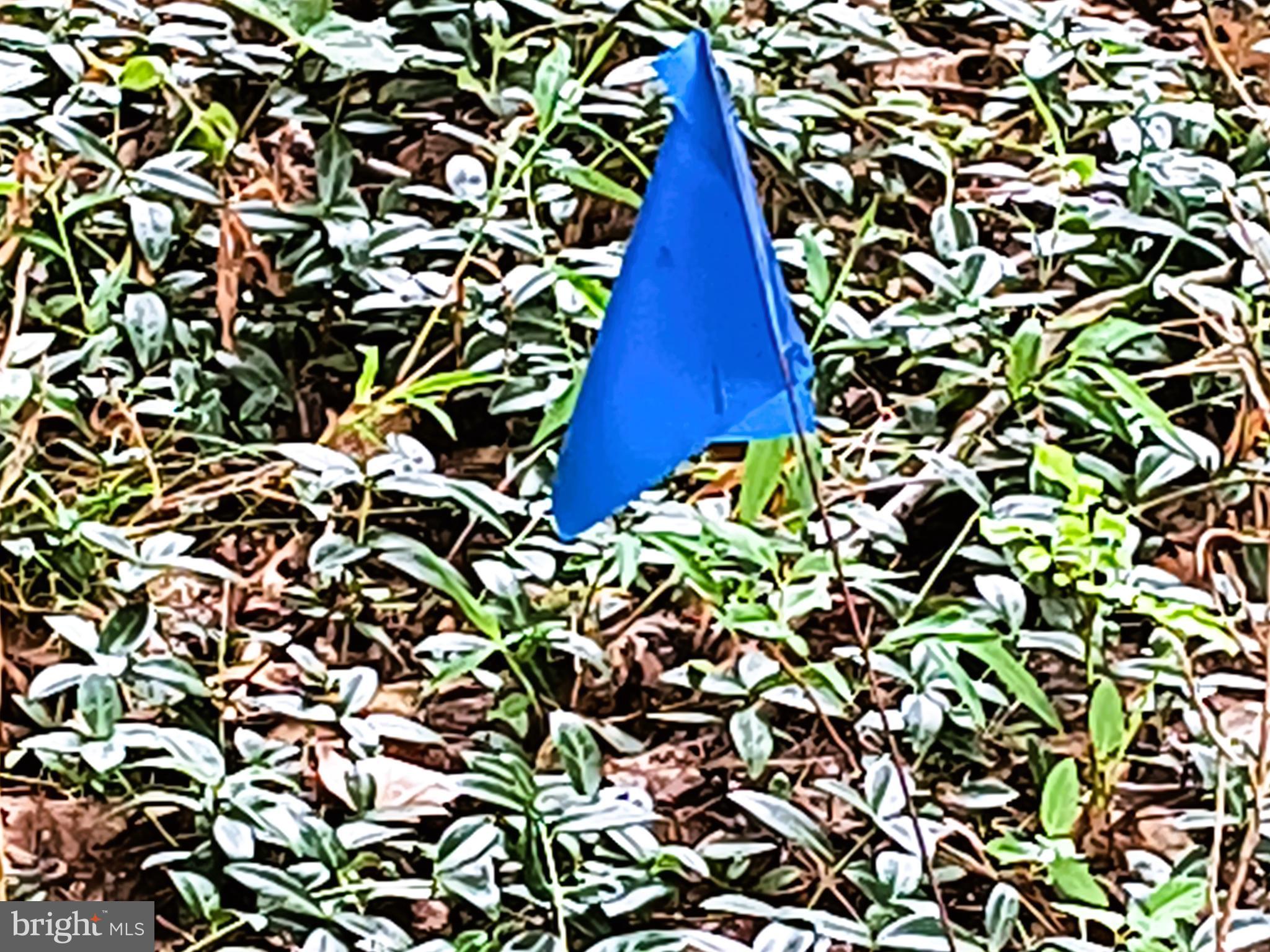 TREASURE COVE - Land