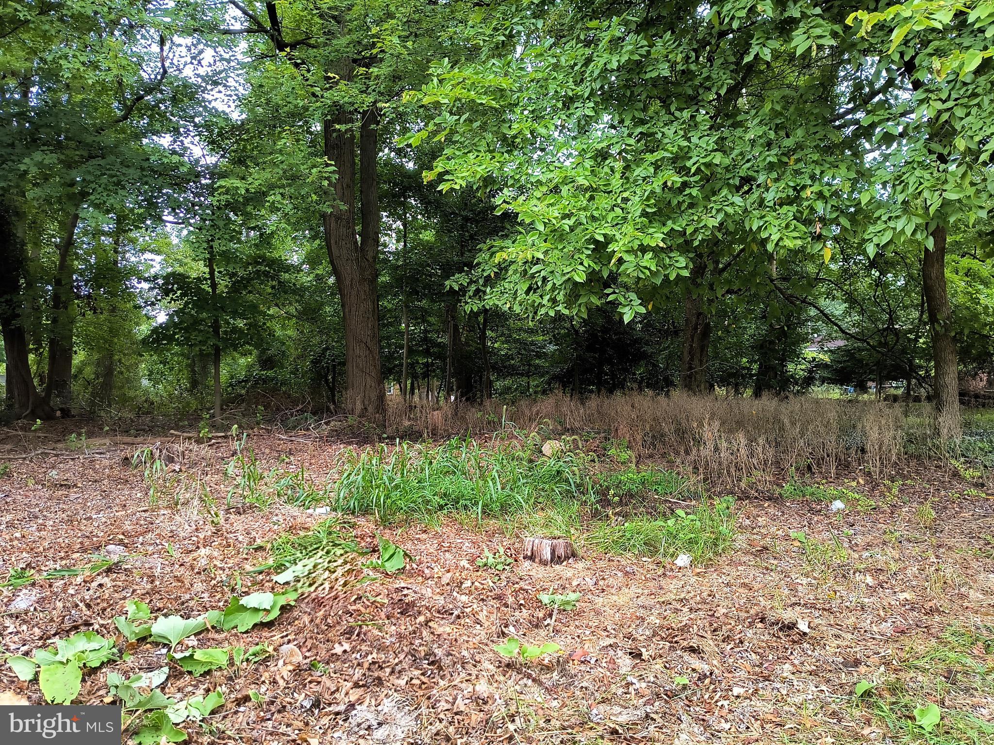 TREASURE COVE - Land