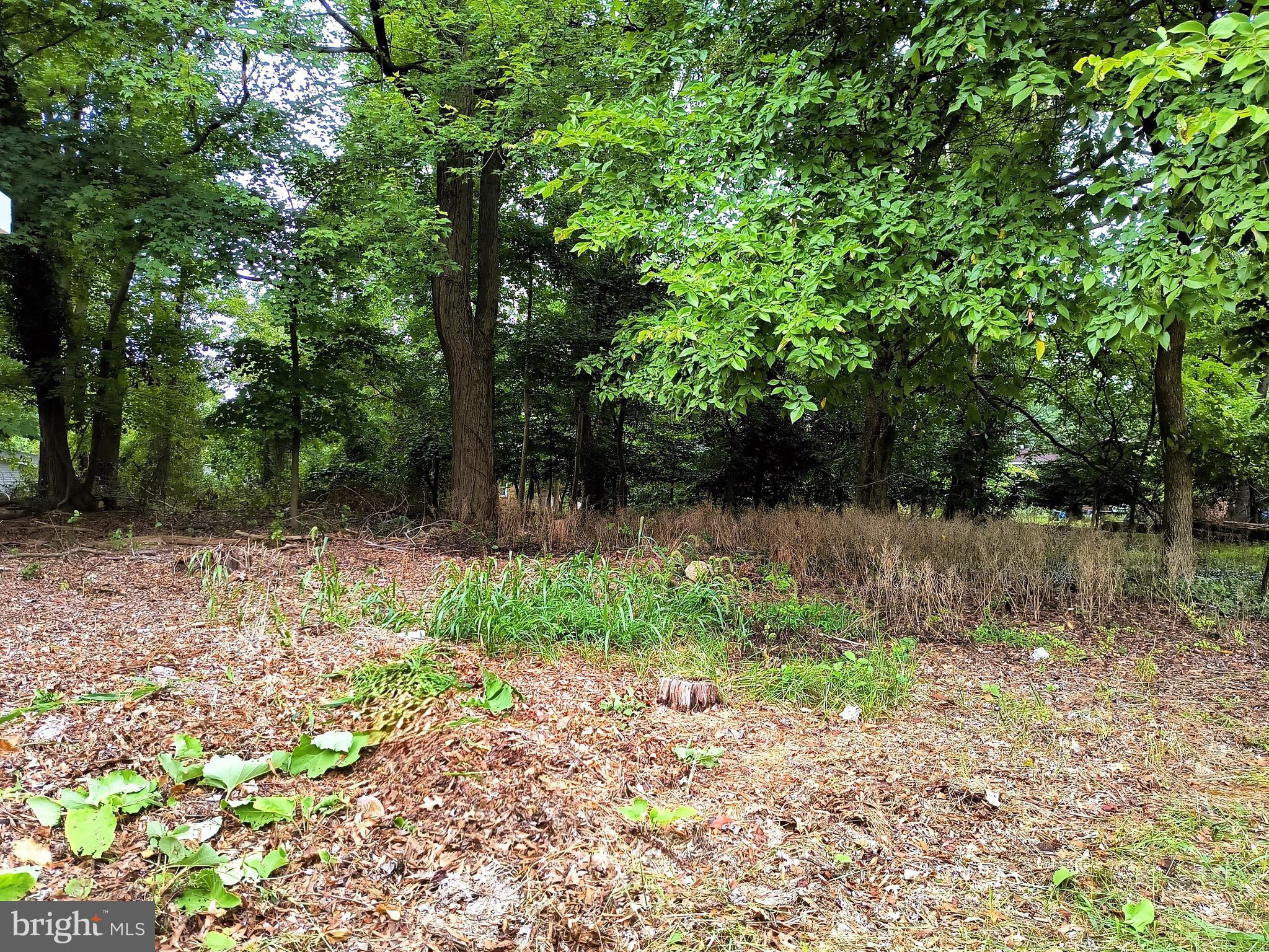 TREASURE COVE - Land