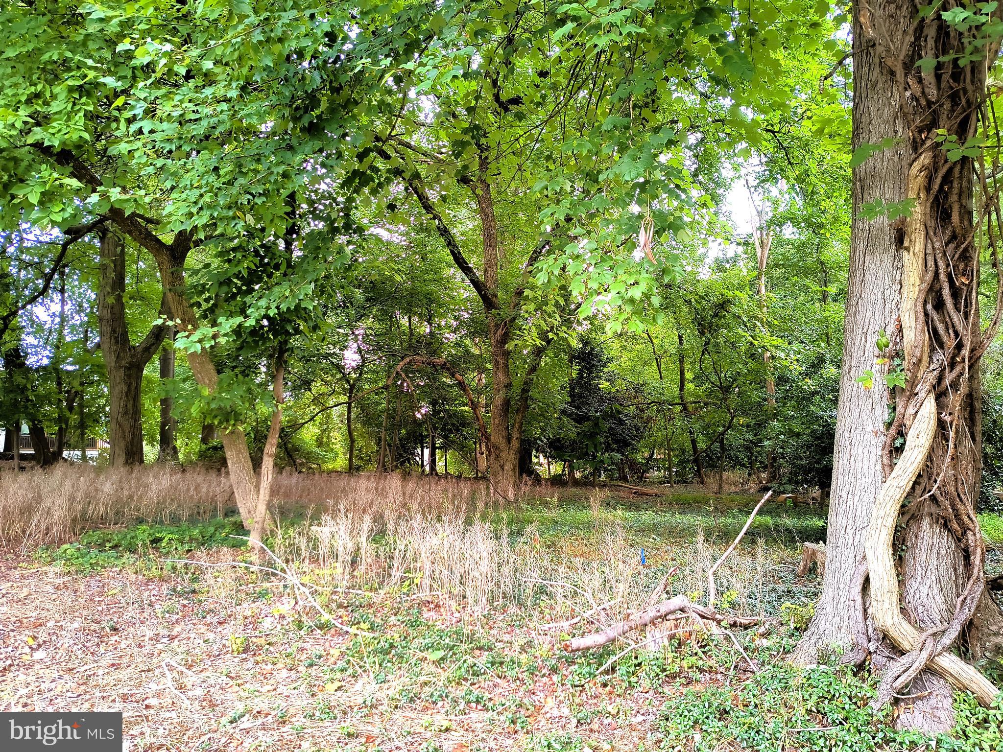 TREASURE COVE - Land