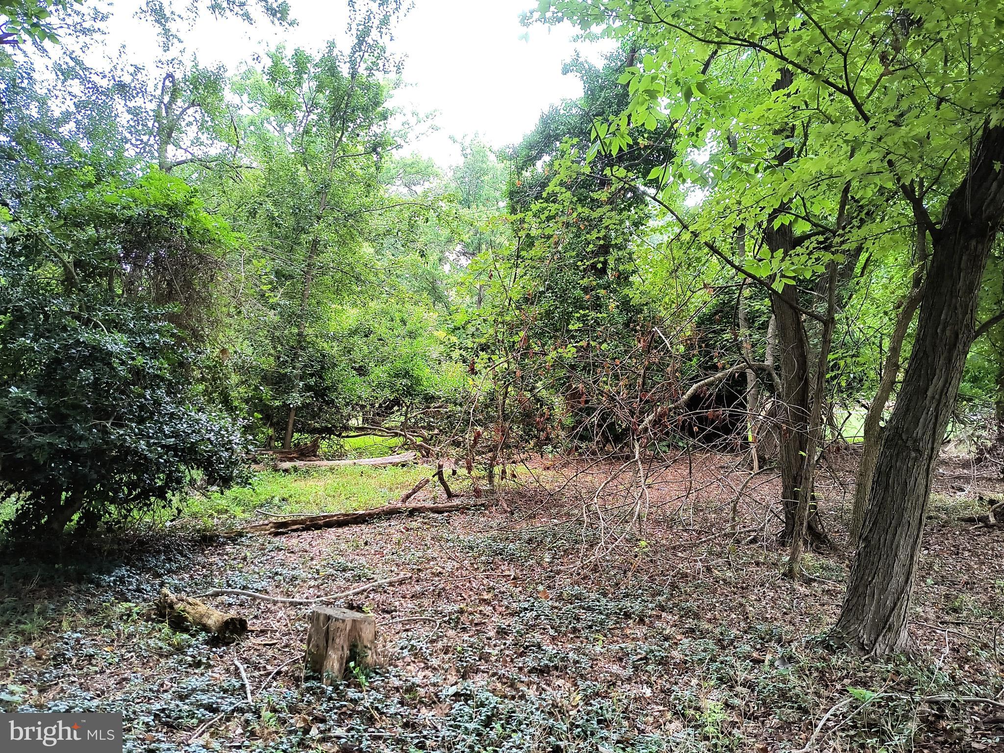 TREASURE COVE - Land