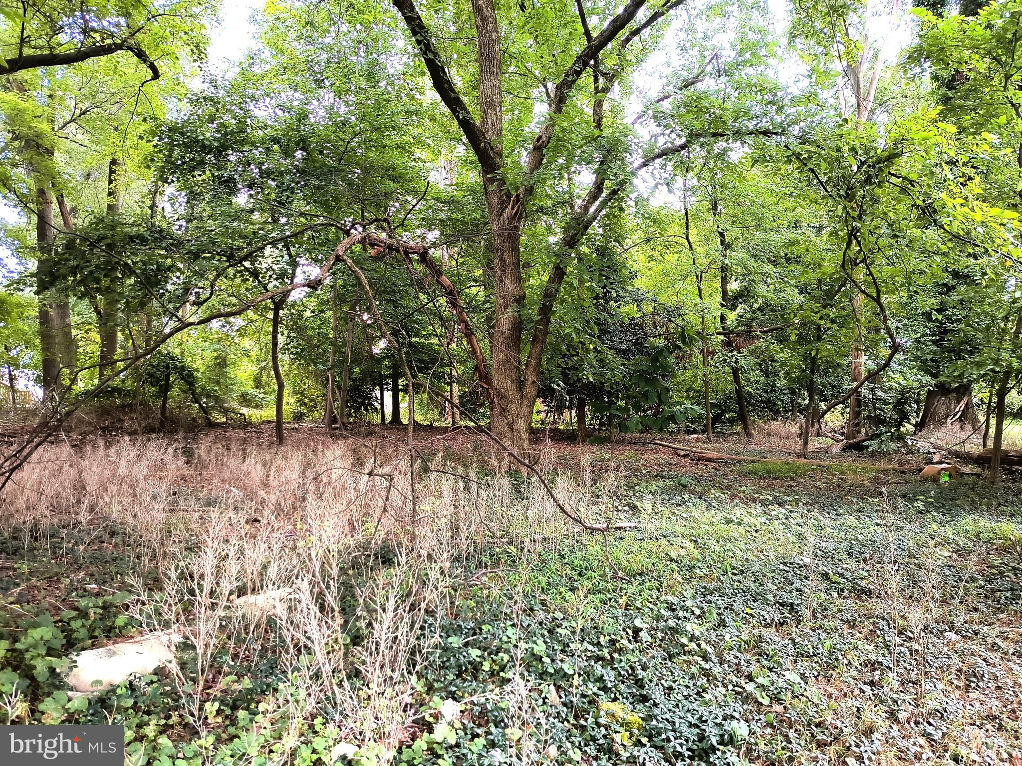 TREASURE COVE - Land