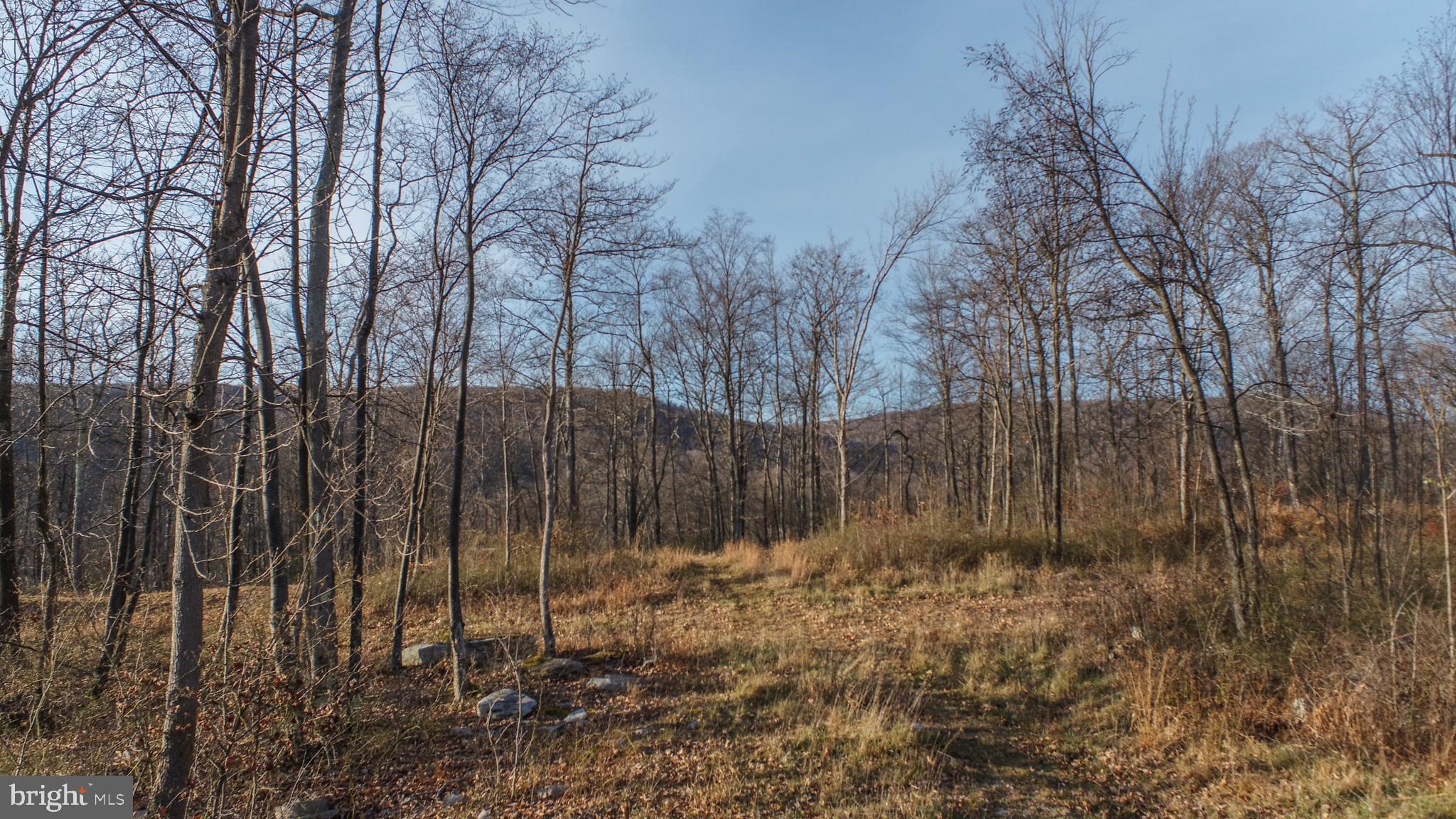 NORTH CAMP SUBDIVISION - Land