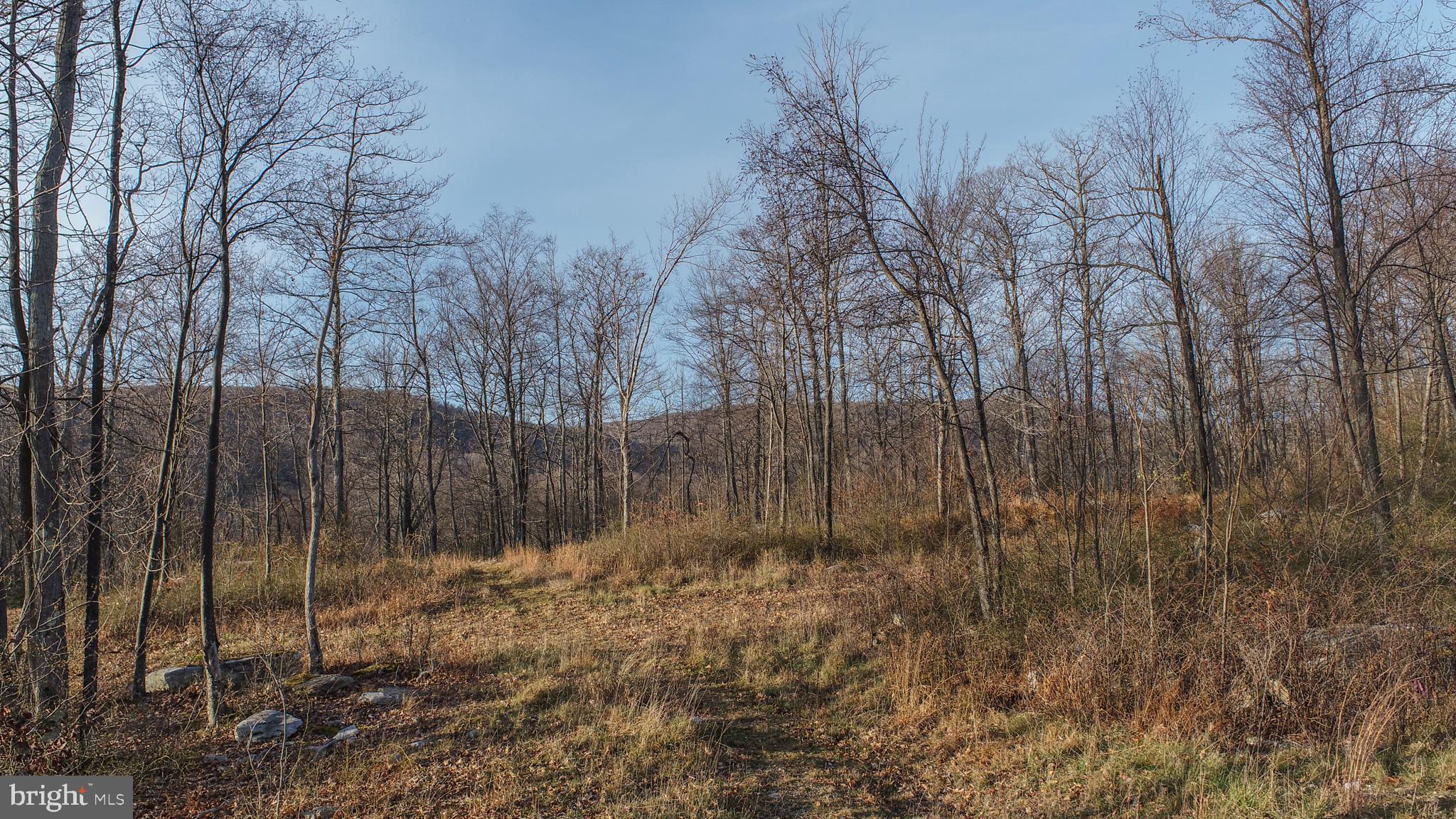 NORTH CAMP SUBDIVISION - Land