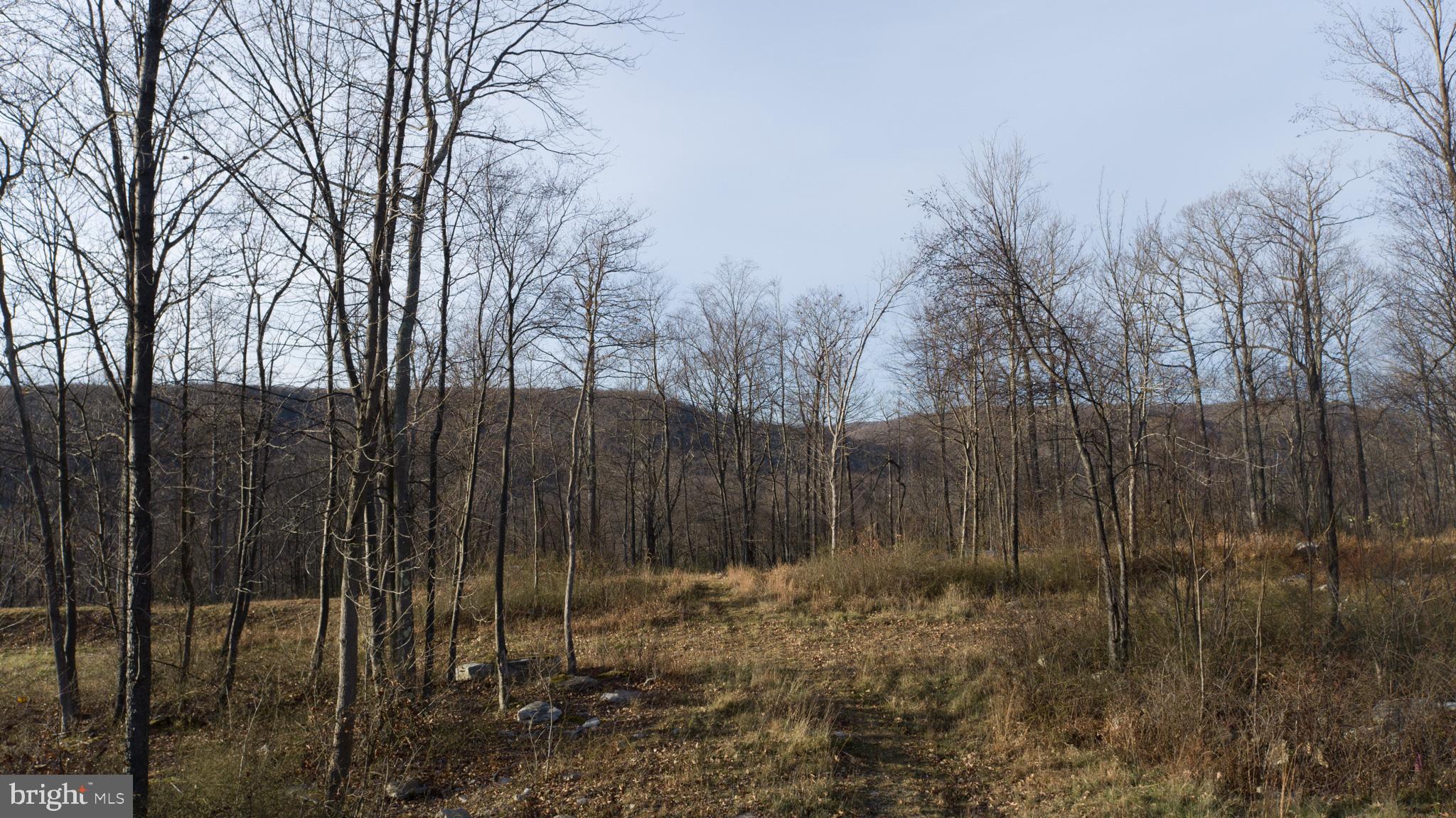 NORTH CAMP SUBDIVISION - Land