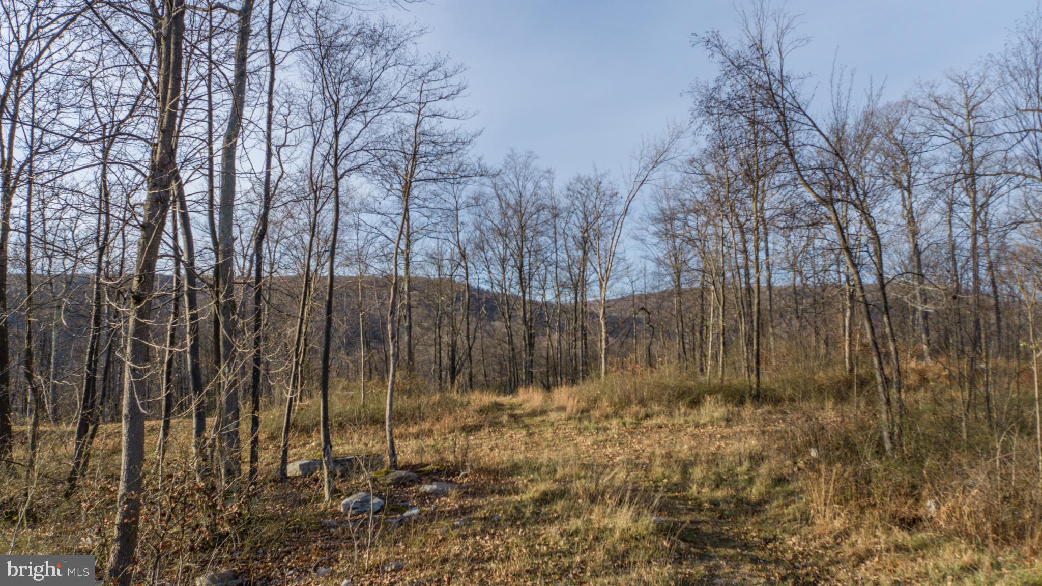 NORTH CAMP SUBDIVISION - Land