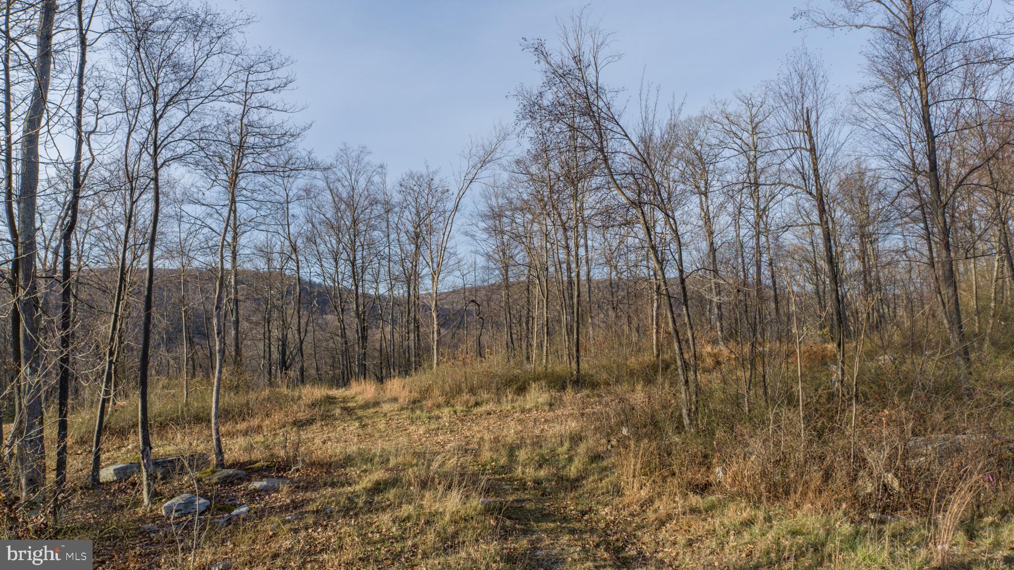 NORTH CAMP SUBDIVISION - Land