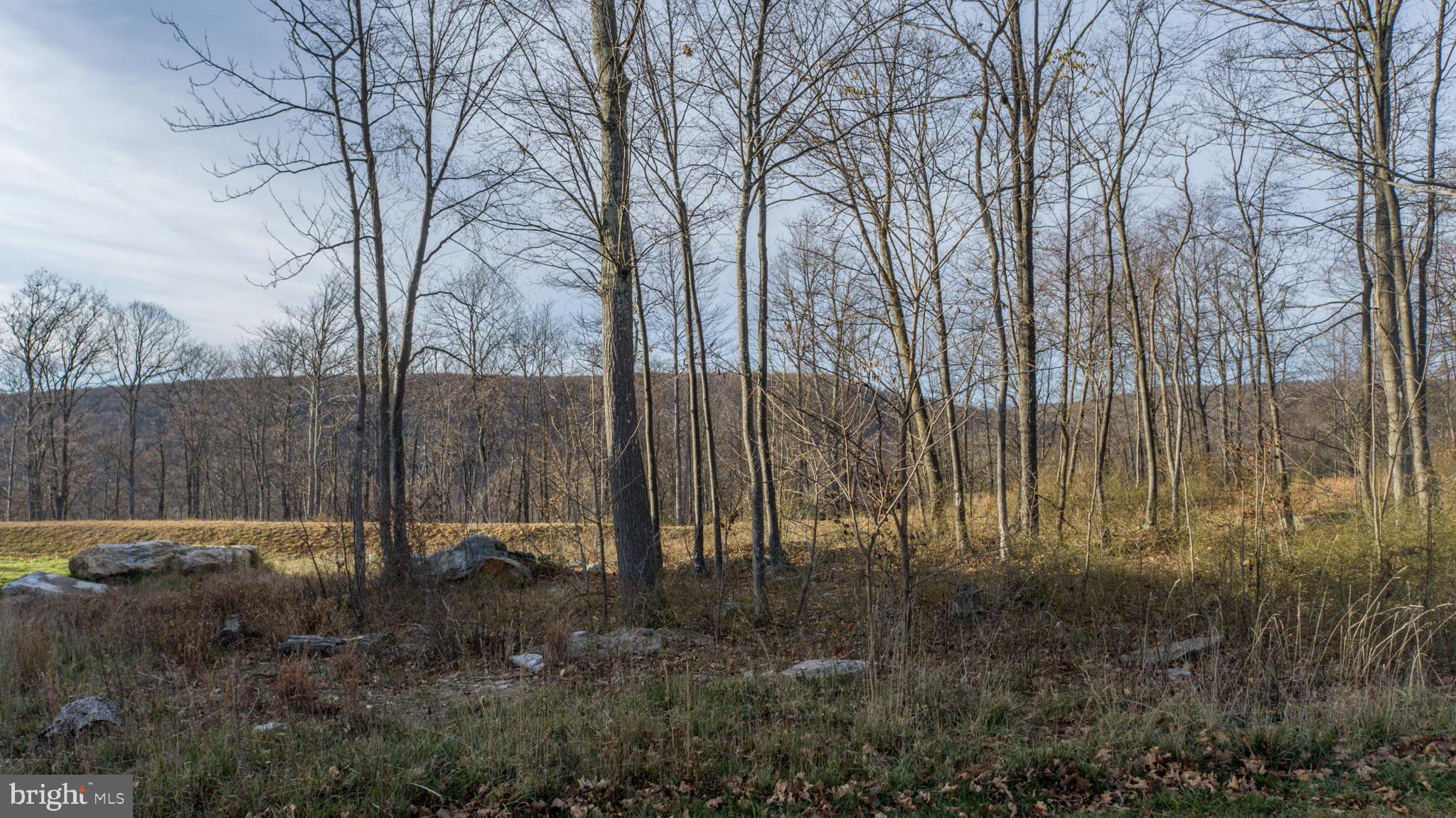 NORTH CAMP SUBDIVISION - Land