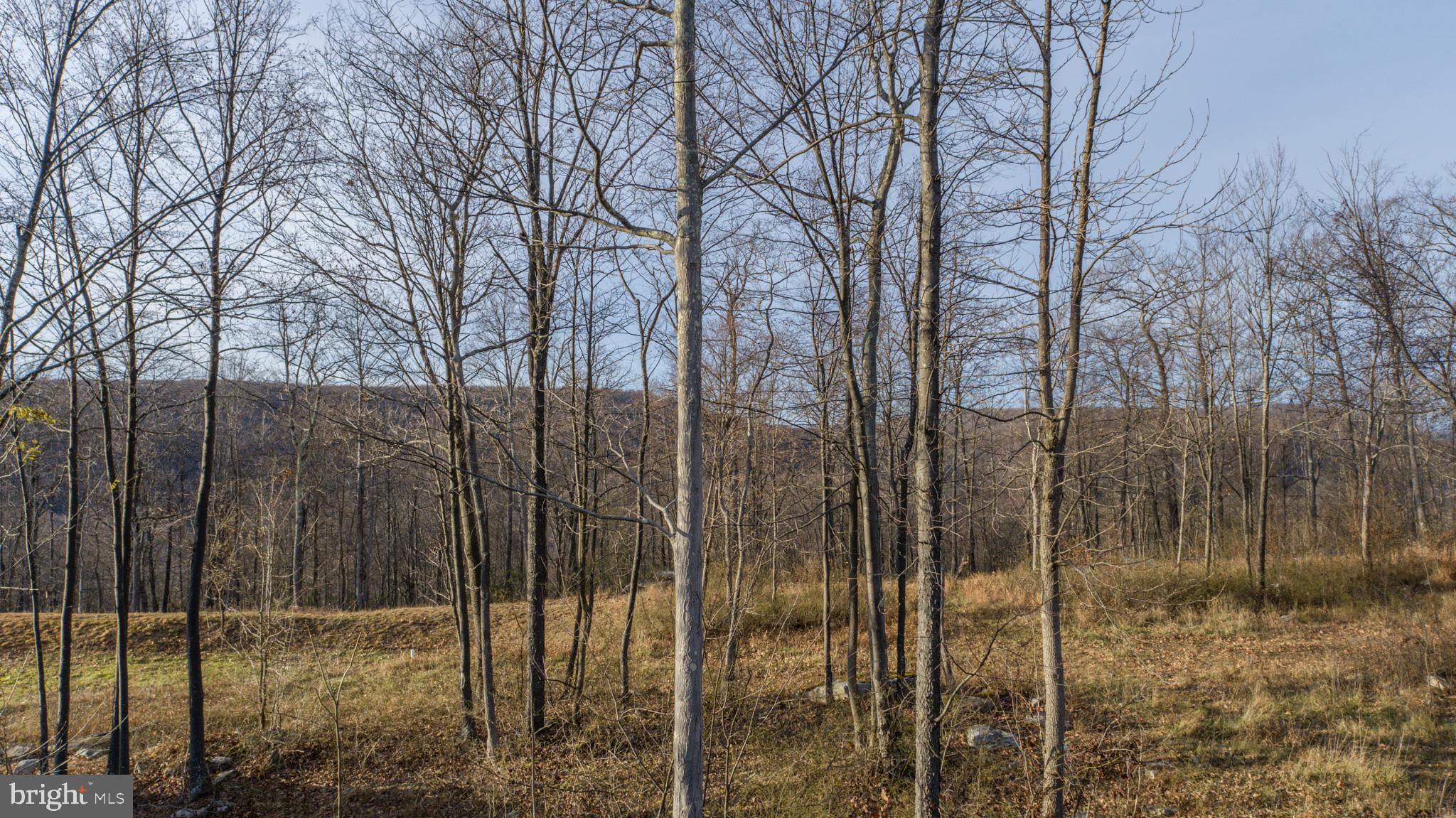 NORTH CAMP SUBDIVISION - Land