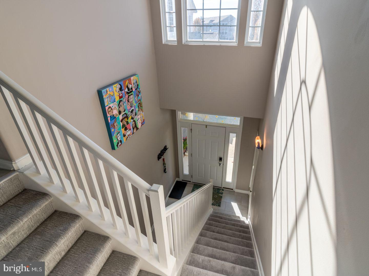 34687 REFUGE CV 1004