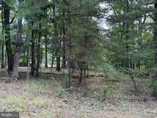 126 LOGGER DR, GORE, VA 22637 - Image b461a4e814633da0fcb72cb9e1f28817/2570273706