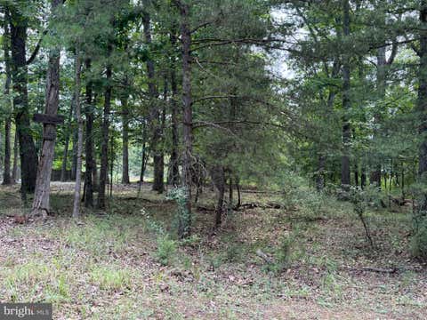 Vacant Land For Sale - LOT 95 Logger Drive Dr<br/> Frederick County, GORE, VA 22637