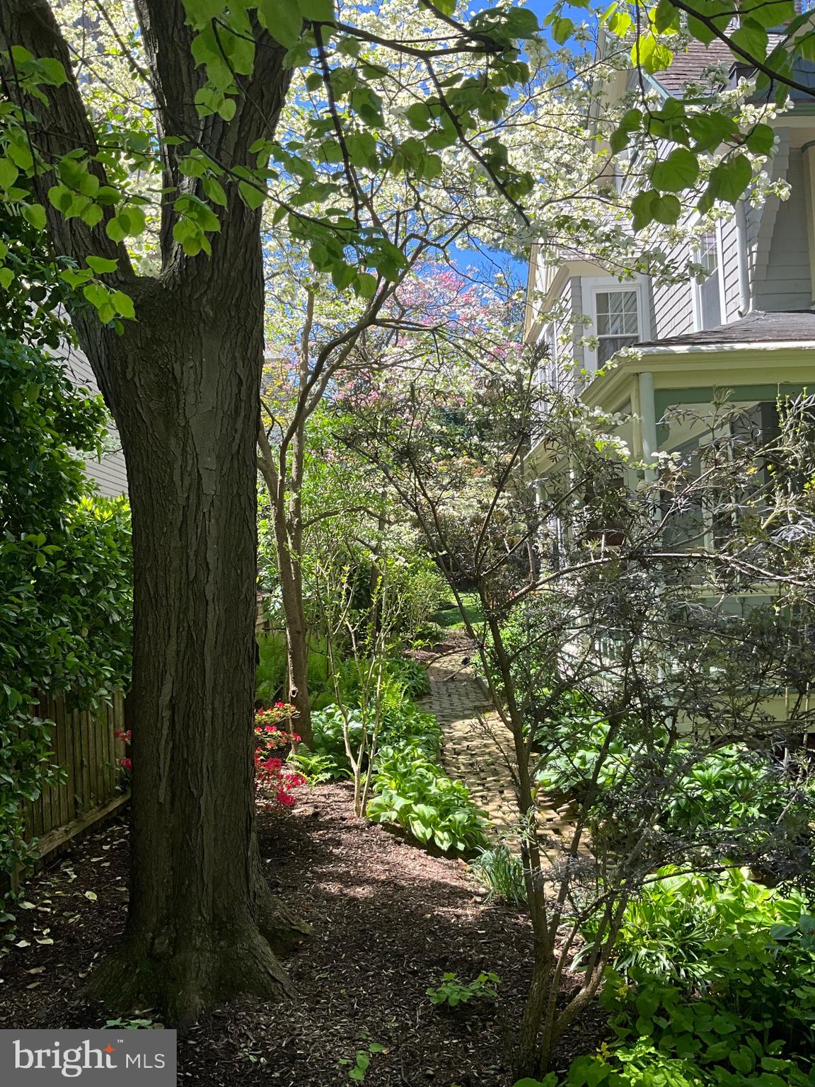 ROLAND PARK - Residential