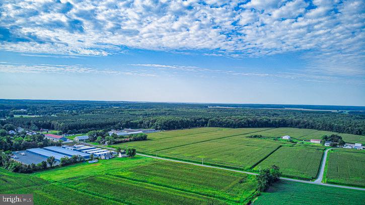 FRANKLIN KNOLL - Residential