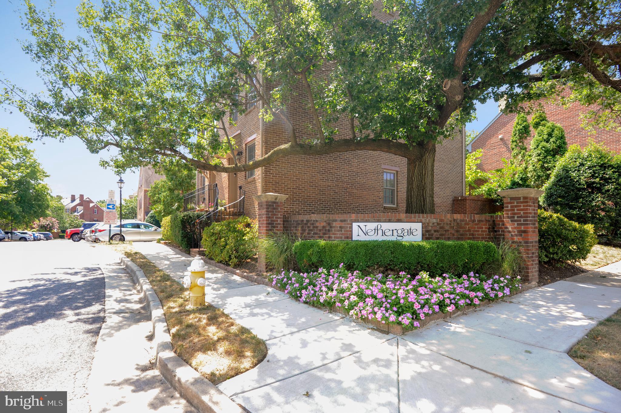 VIRGINIA VILLAGE - Residential