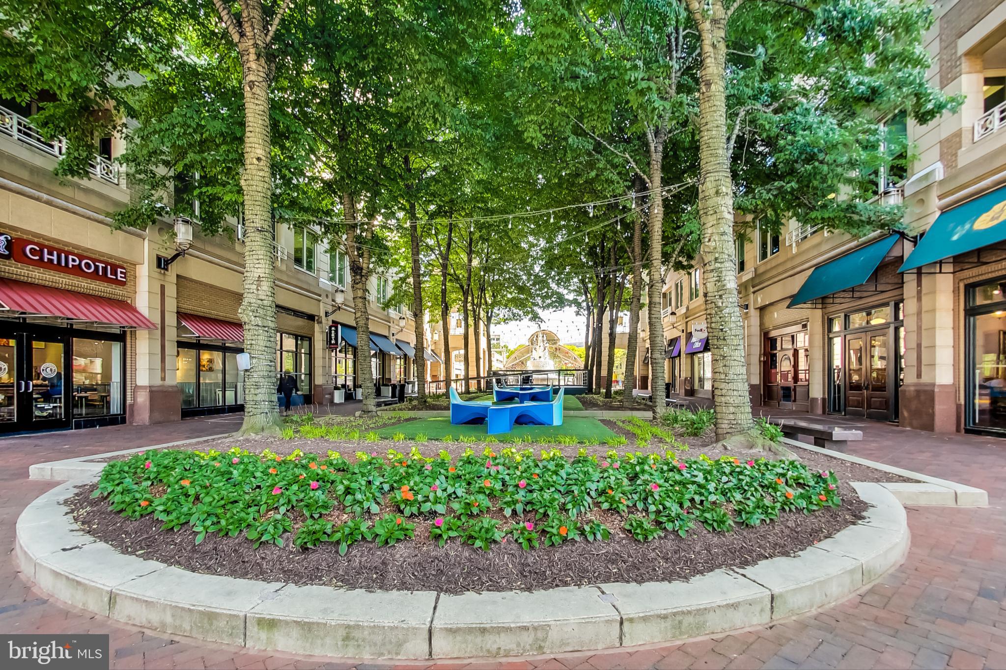 EDGEWATER AT TOWN CENTER - Residential