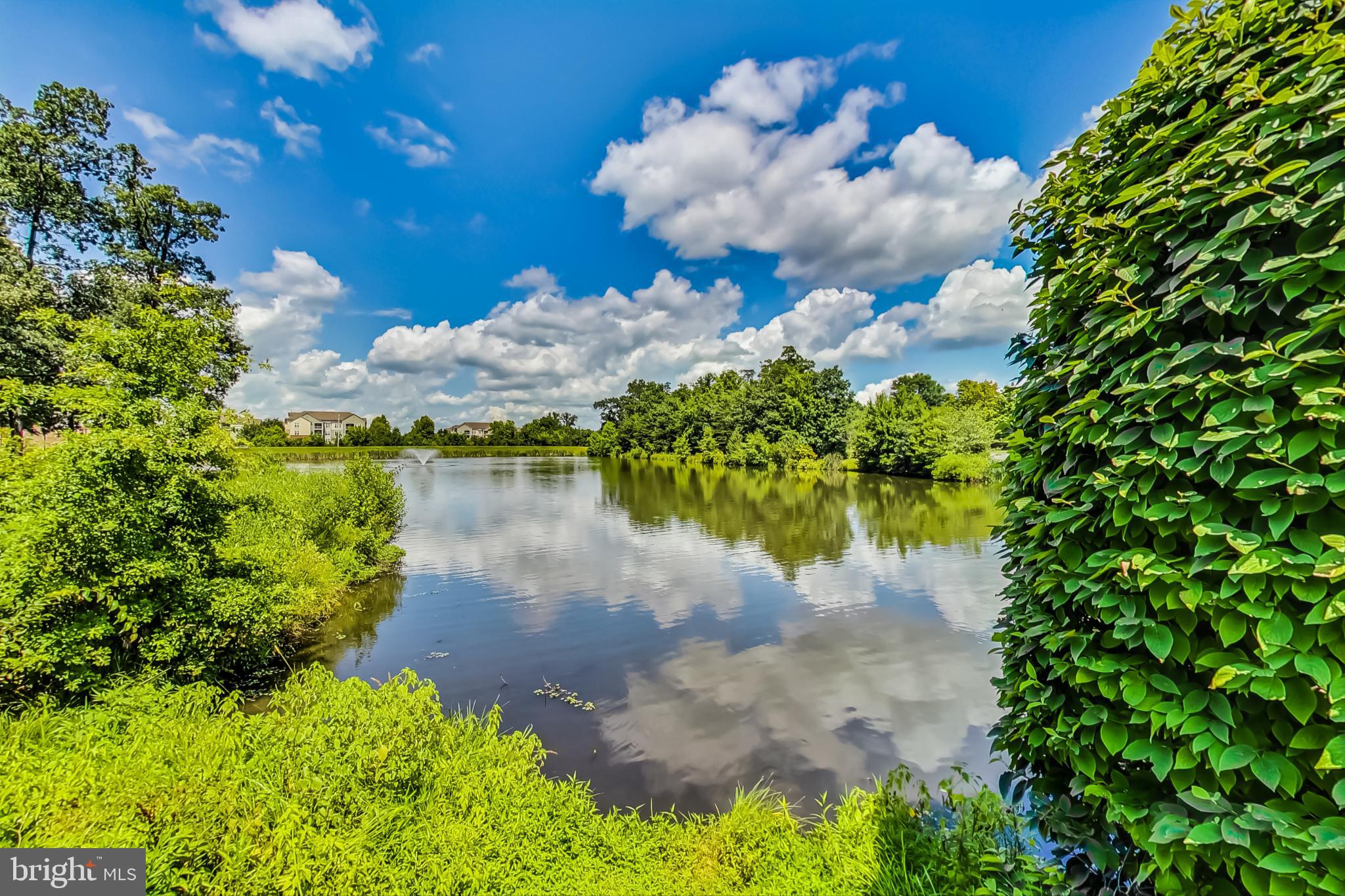 EDGEWATER AT TOWN CENTER - Residential