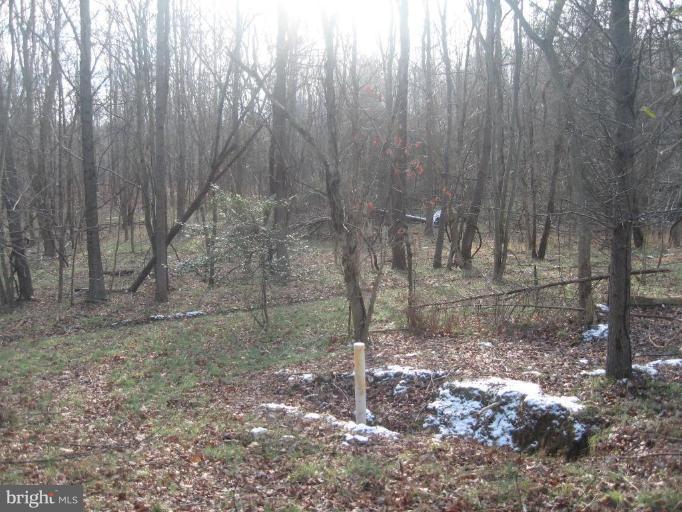 NONE AVAILABLE - Land