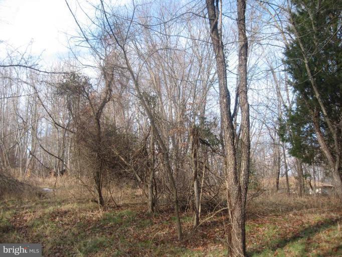 NONE AVAILABLE - Land