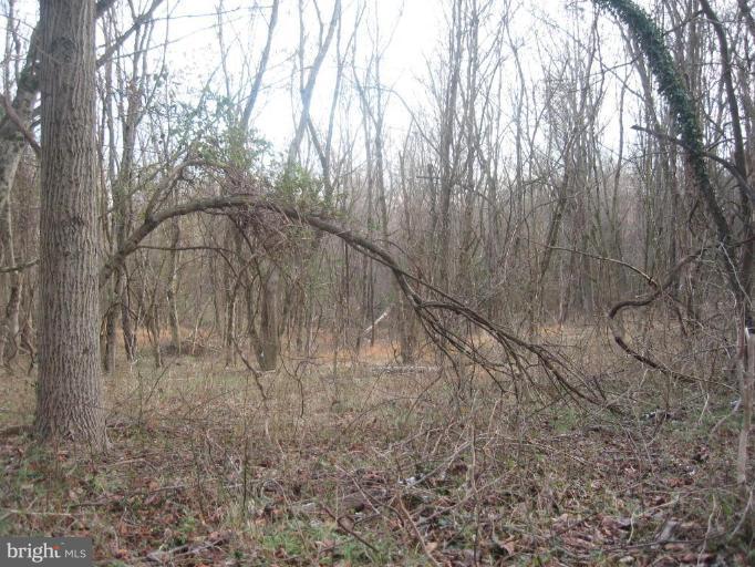 NONE AVAILABLE - Land