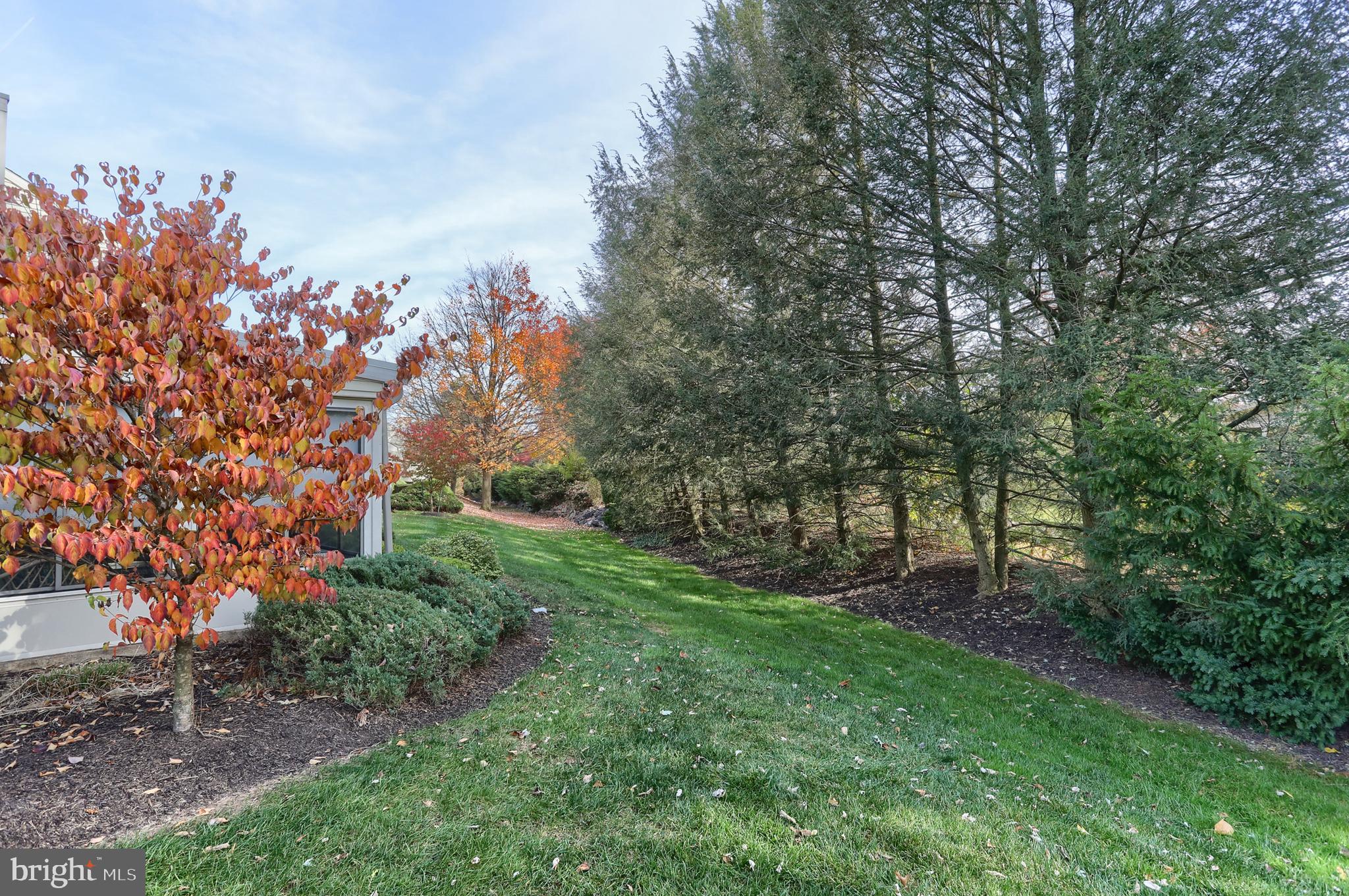CAMBRIDGE COMMONS - Residential