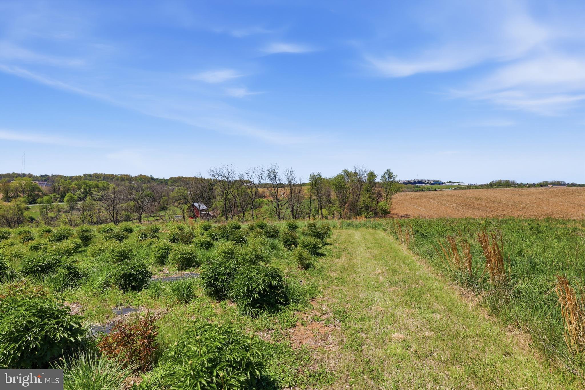 SHREWSBURY TWP - Residential
