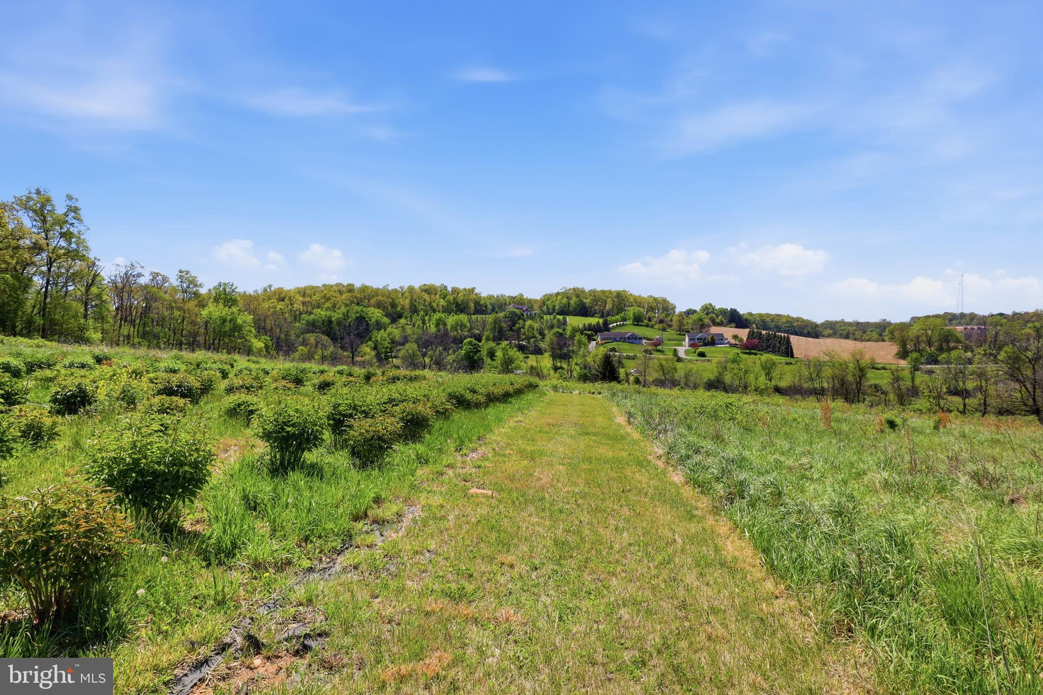 SHREWSBURY TWP - Residential