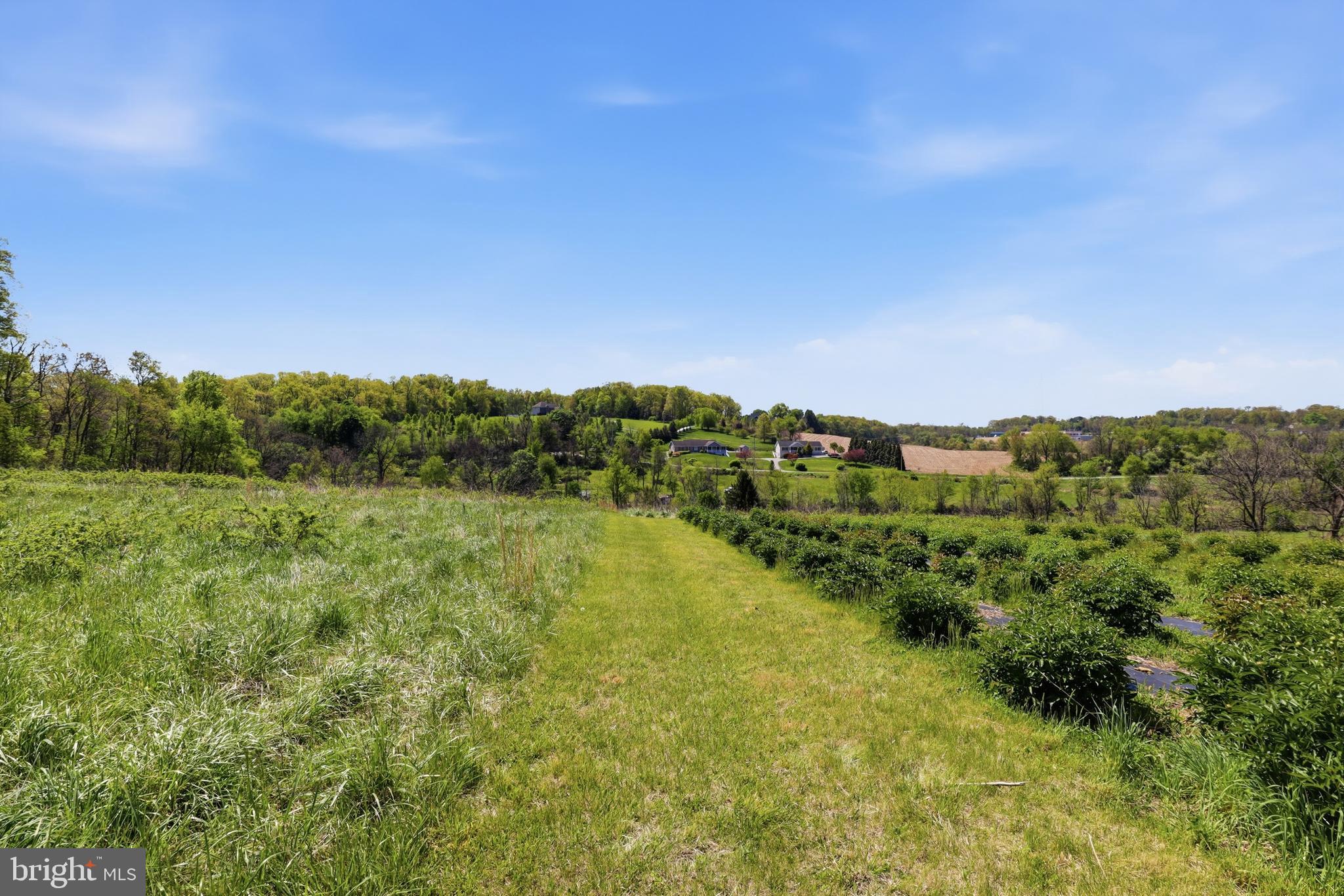 SHREWSBURY TWP - Residential