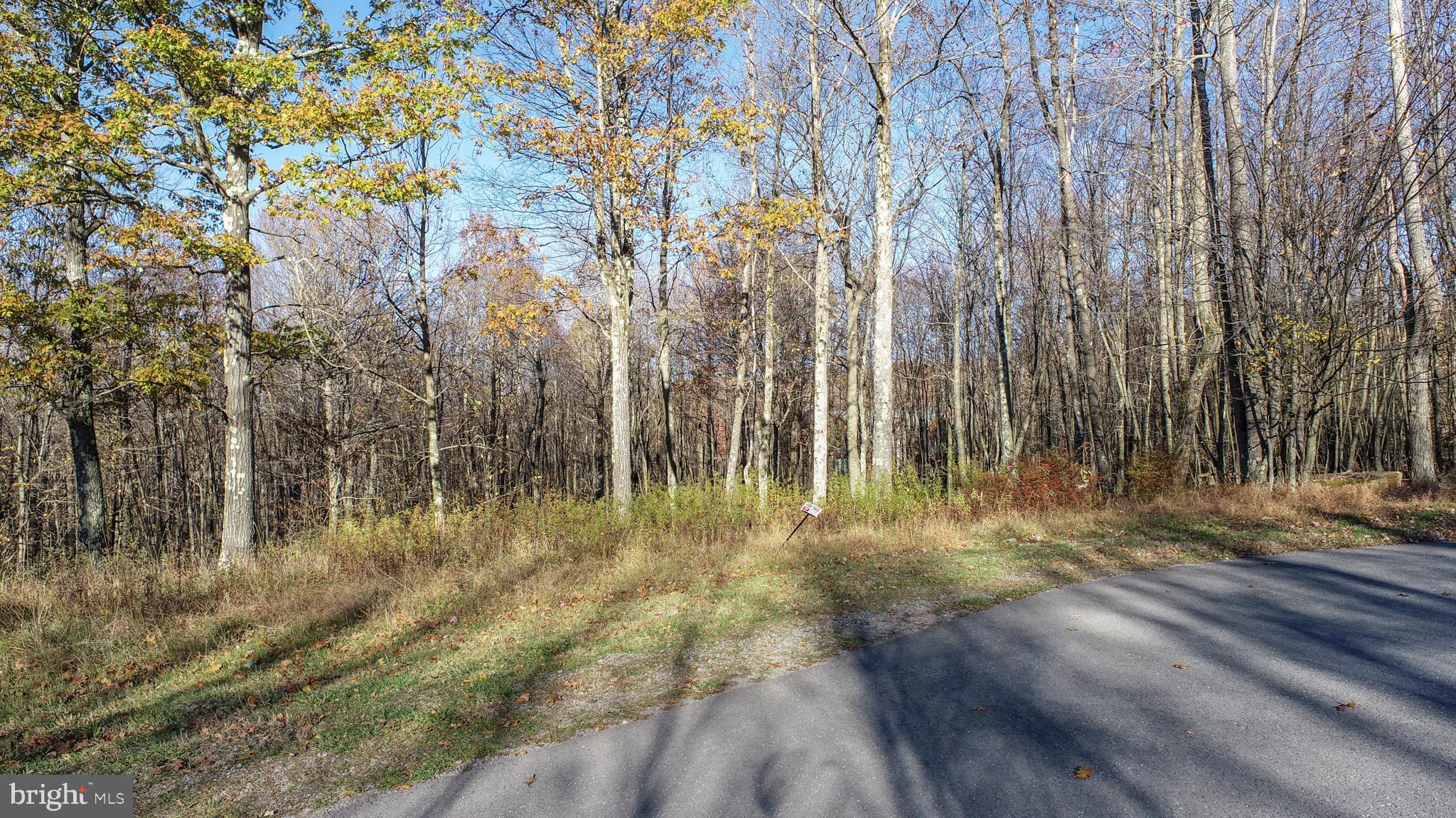 123 MOUNTAINVIEW COURT