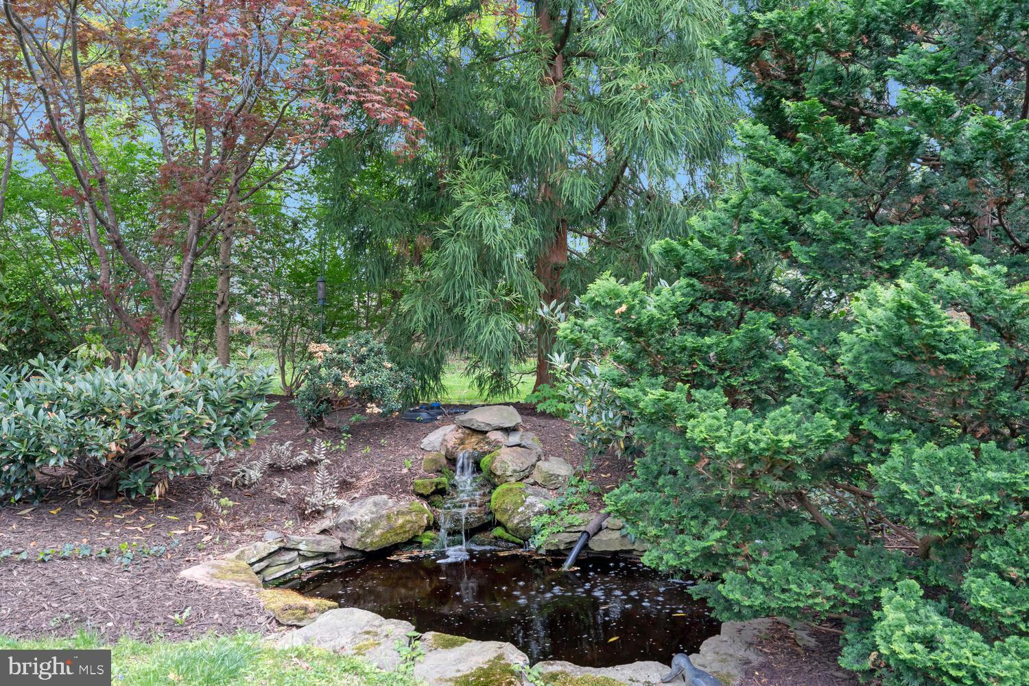 HIDDEN FOREST - Residential