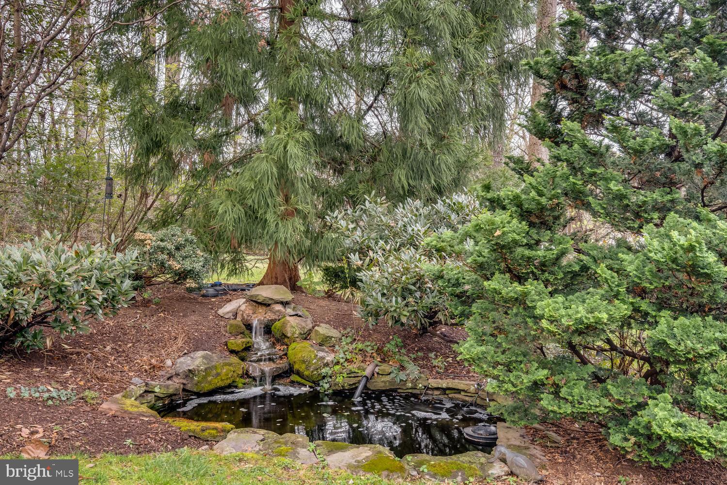 HIDDEN FOREST - Residential