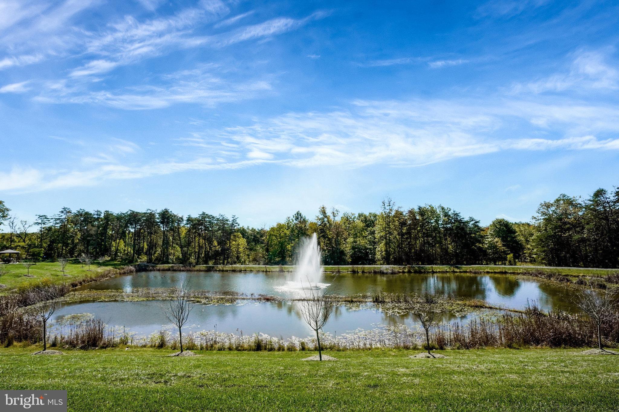 CARTER'S MILL - Residential