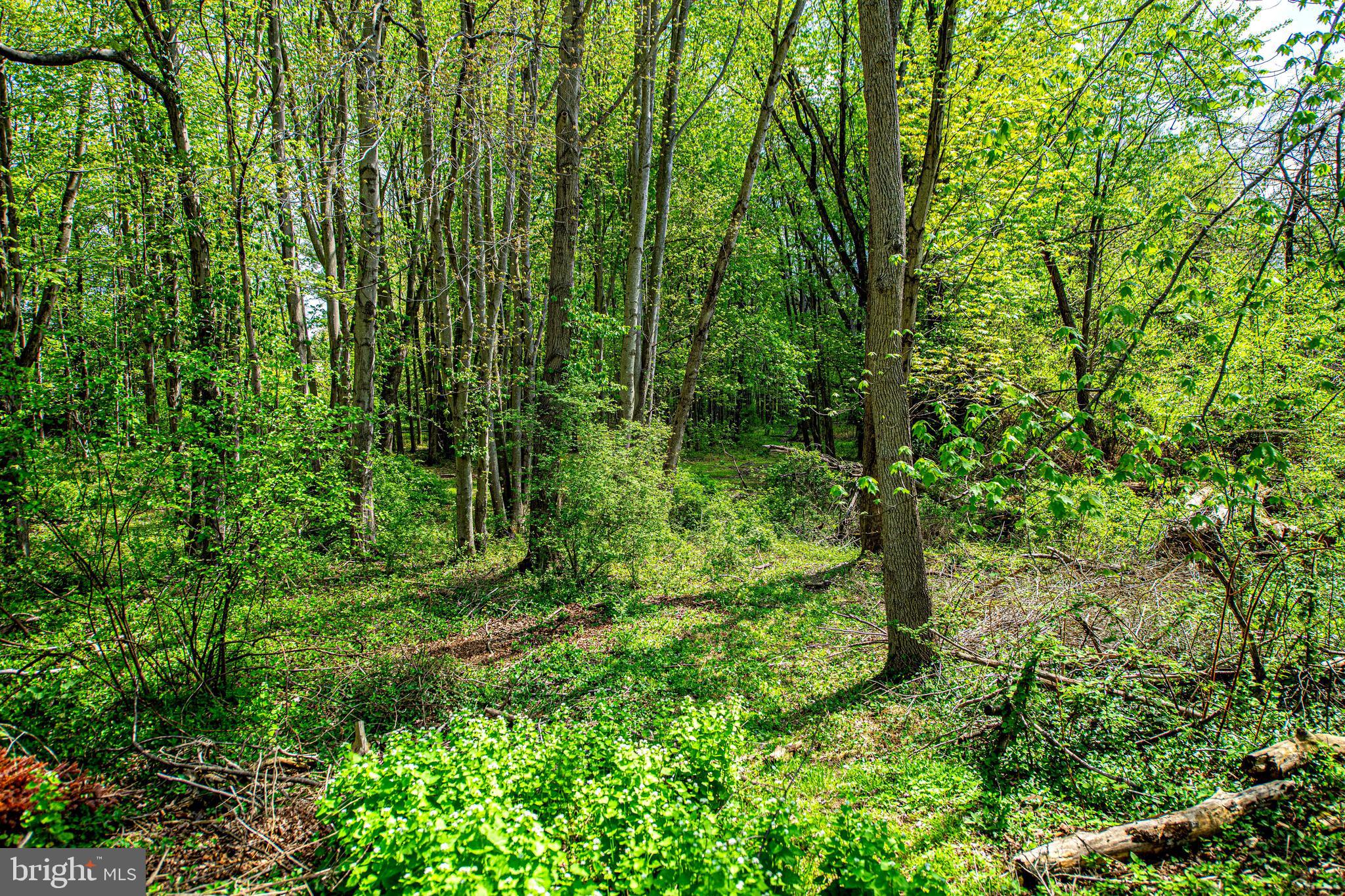 BELLE MANOR - Residential