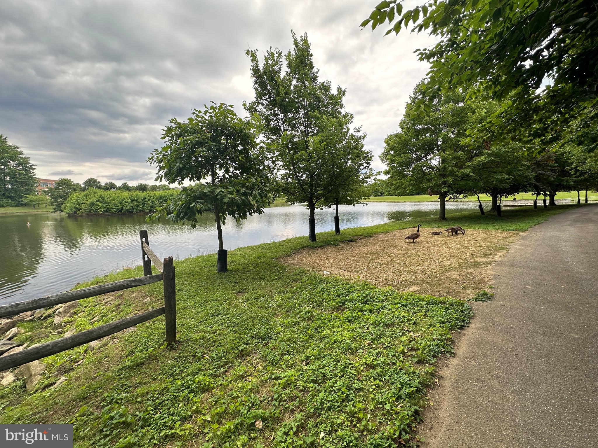 BOWIE TOWERS - Residential