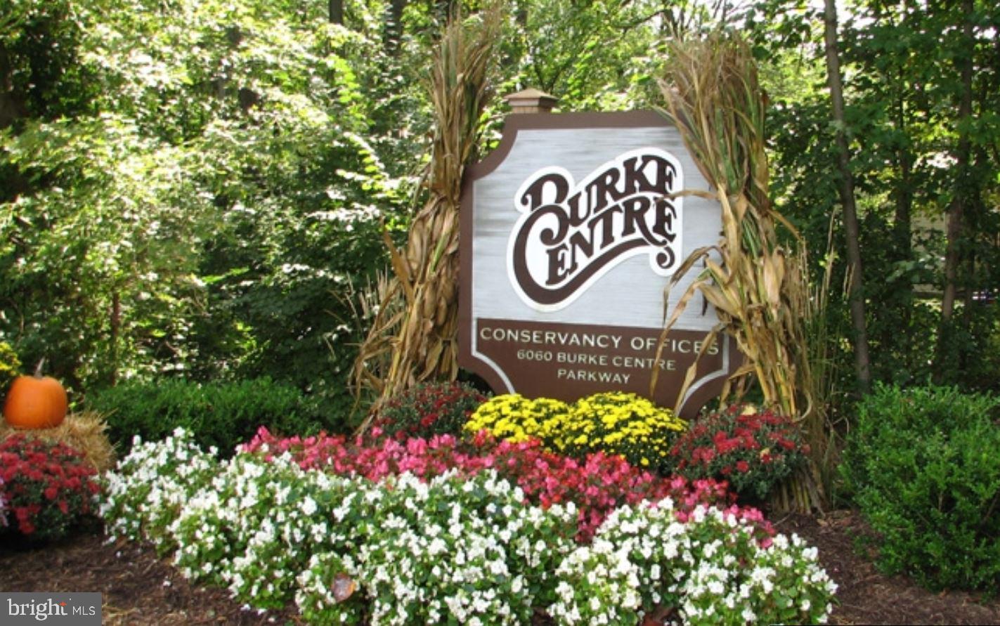 BURKE COVE - Residential