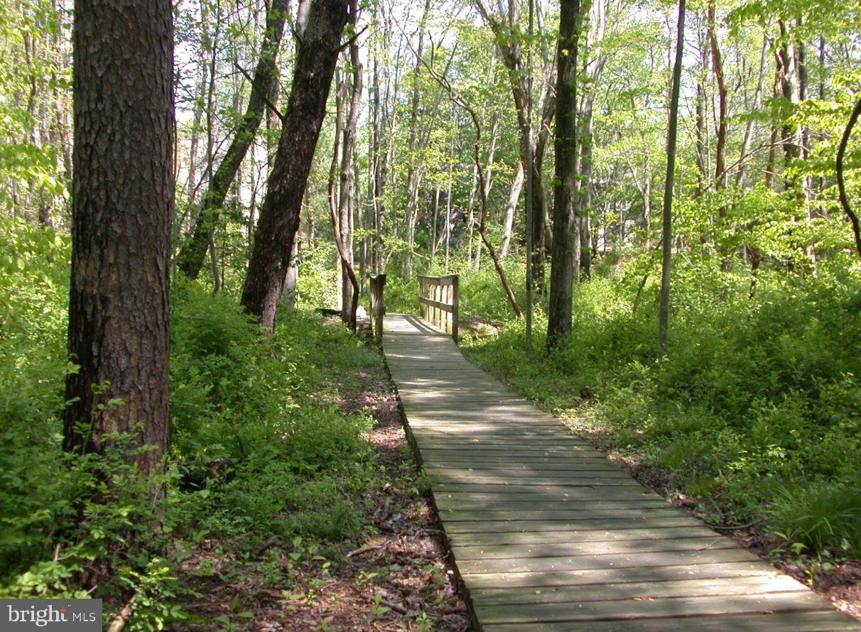 BURKE COVE - Residential