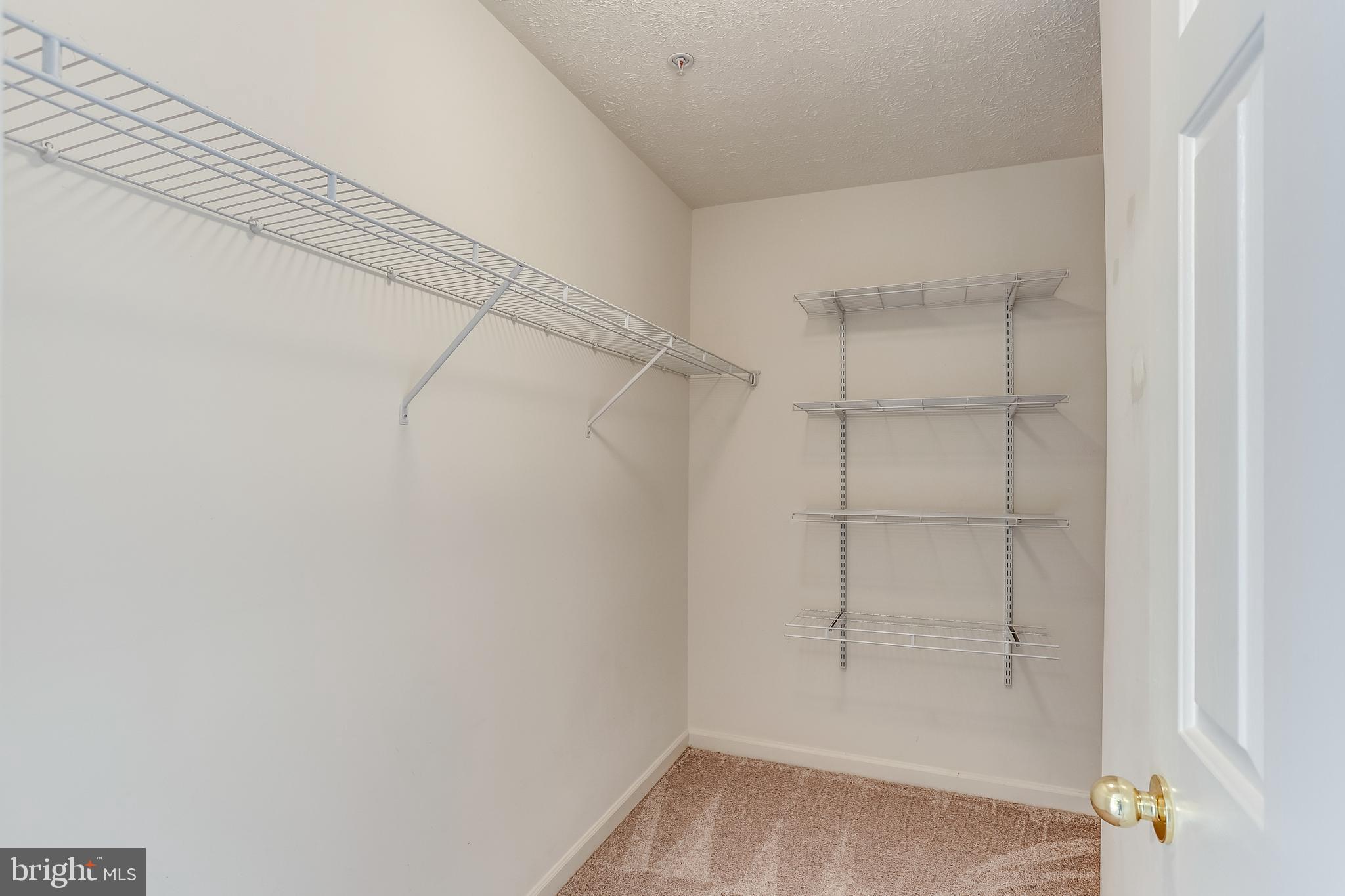 HOLLY WOODS - Residential