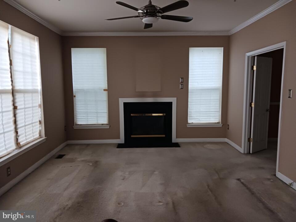 13100 BELLE MEADE TRACE