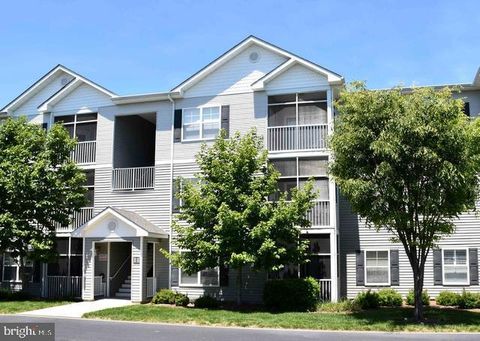 17063 S BRANDT STREET 4203 LEWES DE 19958