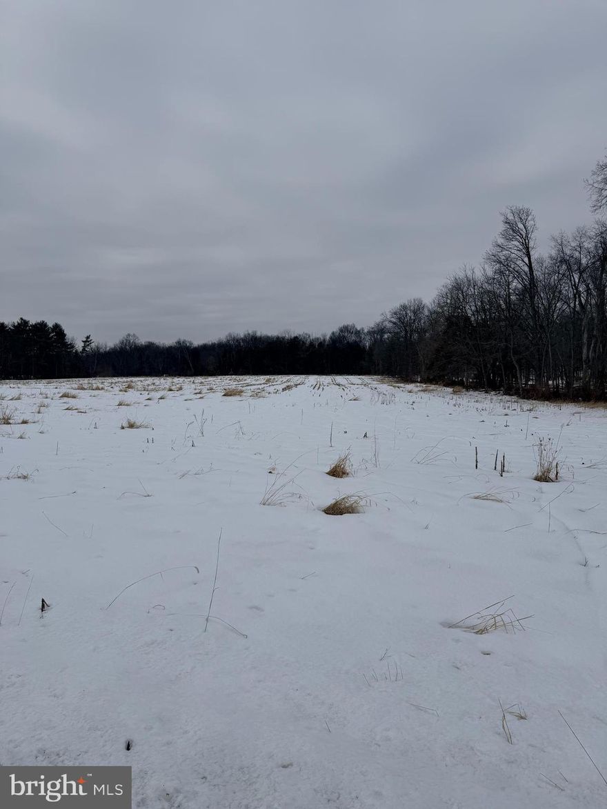 The MLS is for Lot 2 ONLY.
This beautiful property is currently in the process of final subdivision. It has been perked and a septic site has been approved. Well placement has also been located. The property is ready for you to bring a builder and build your dream house. Lot 2 in the subdivision is 4.04 acres, level and cleared.
Lots are staked out so easy for you to walk the property.
Garage structure will be taken down to finalize the subdivision.
There is a lot of interest, book your showing today
