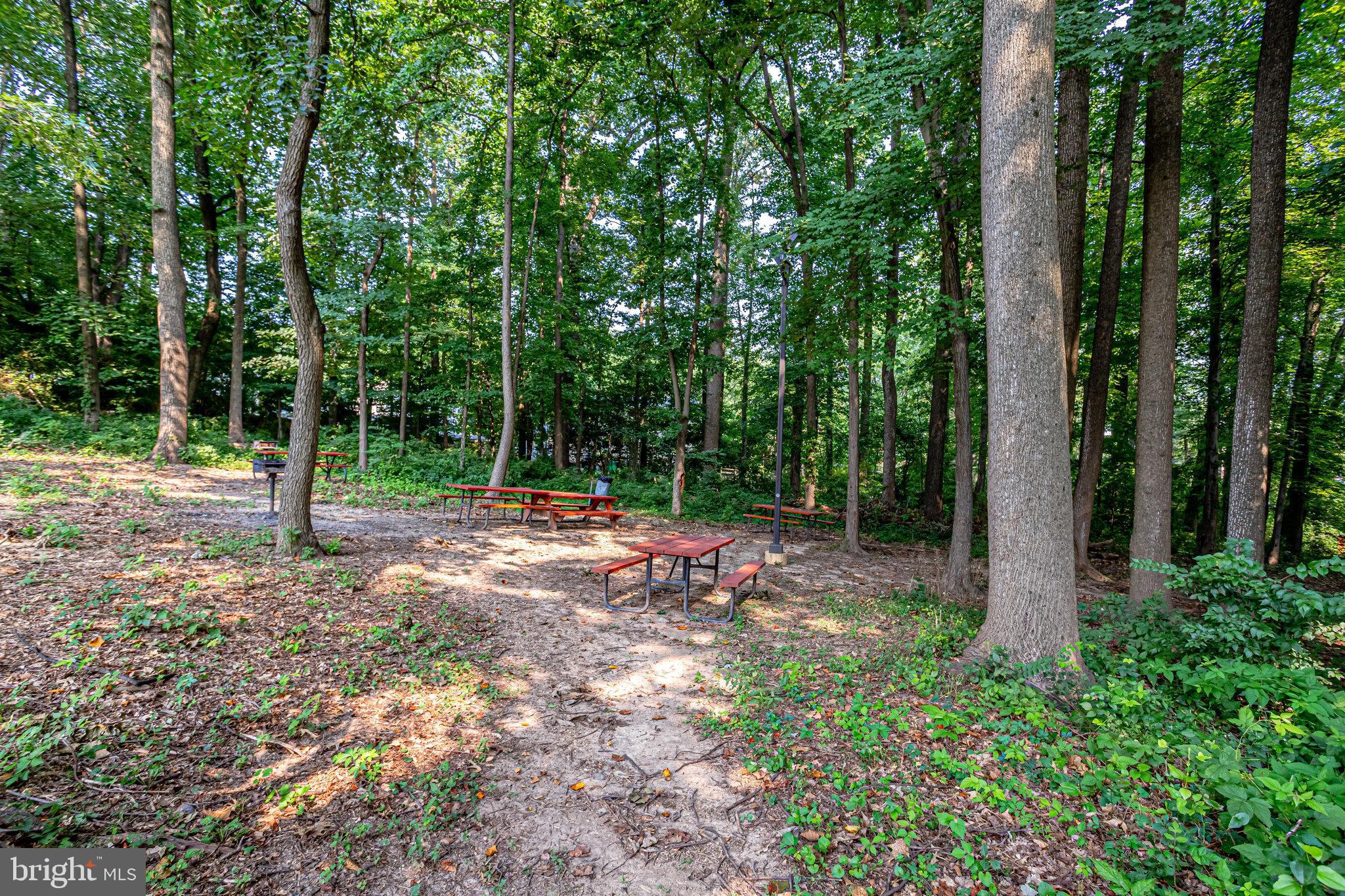 IDYLWOOD TOWERS CONDO - Residential Lease