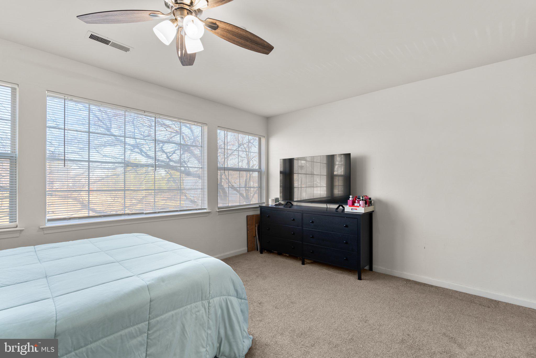 VILLAGE OF MONTGOMERY RUN - Residential