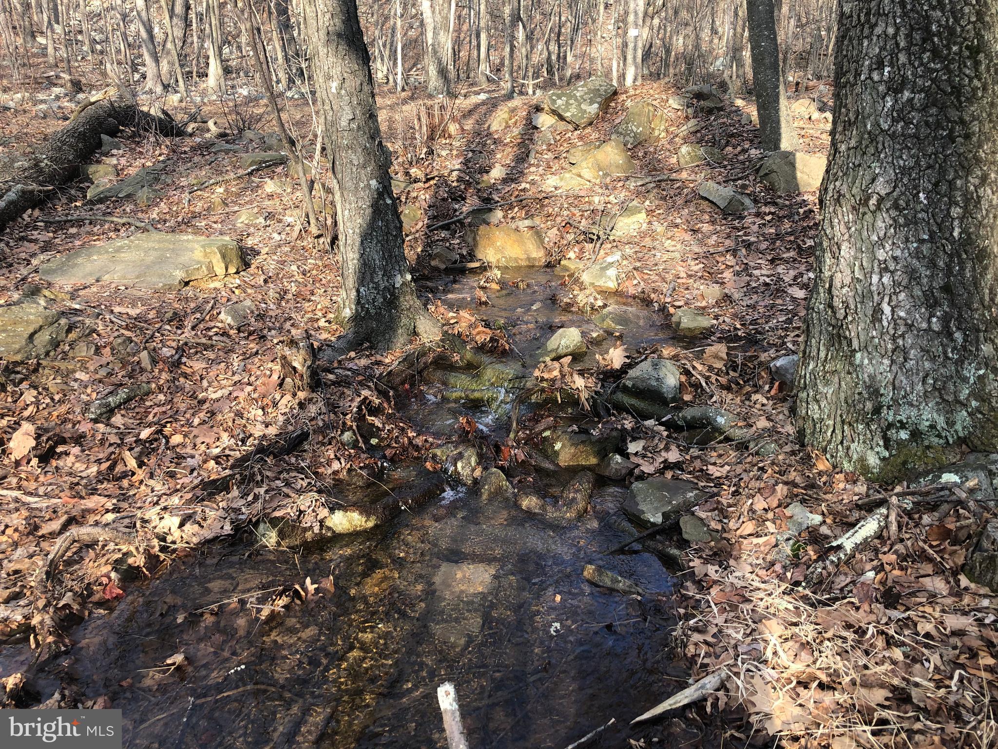 COVE CREEK - Residential