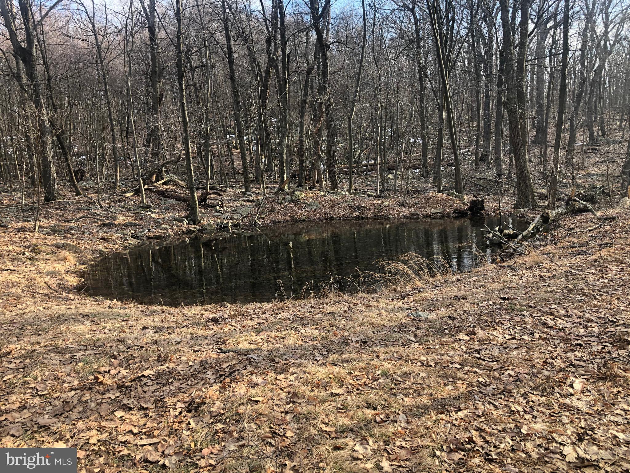 COVE CREEK - Residential