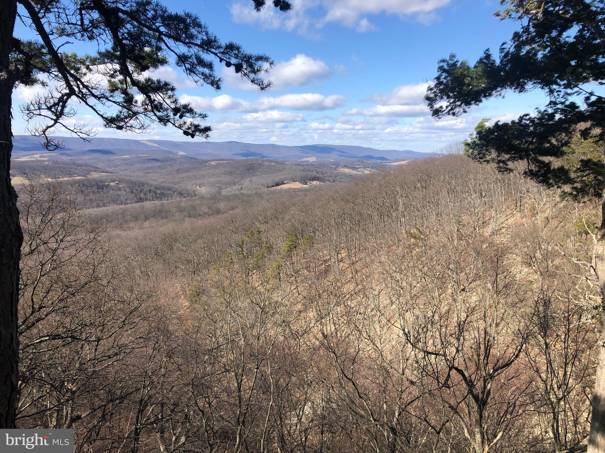 COVE CREEK - Residential