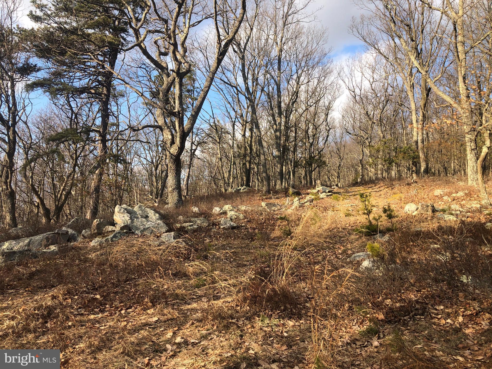 COVE CREEK - Residential