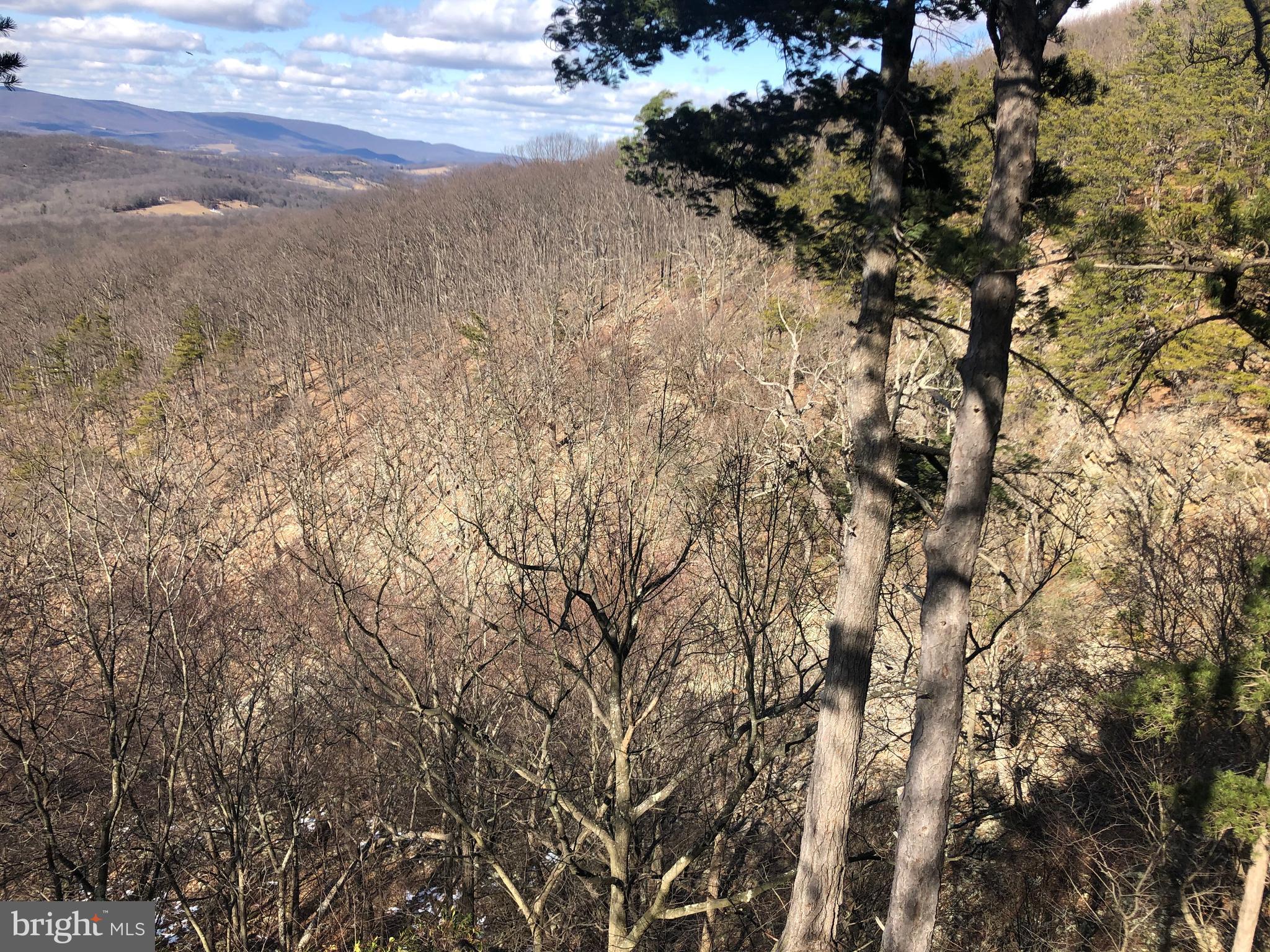 COVE CREEK - Residential